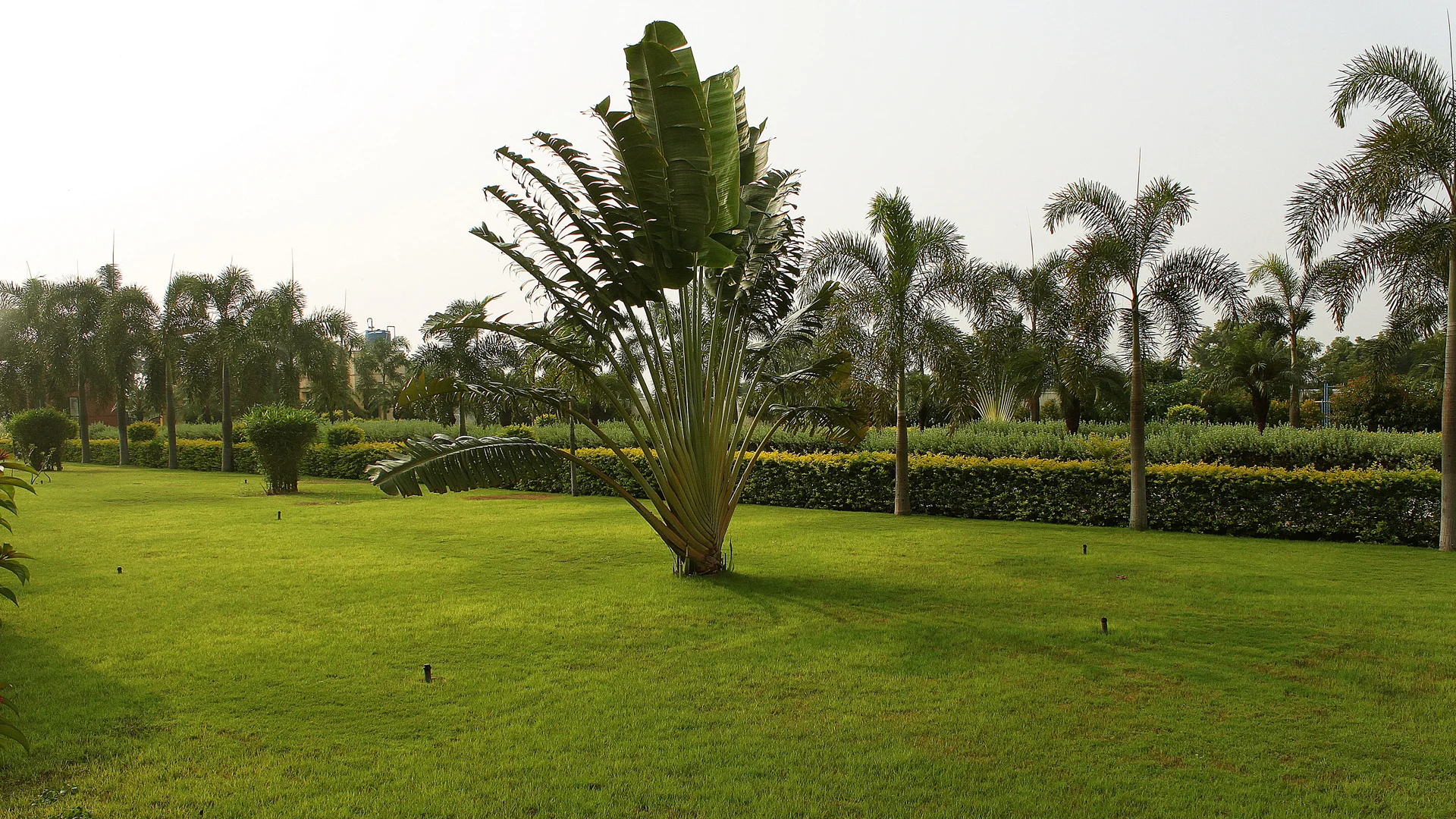 School-building-NPS-4